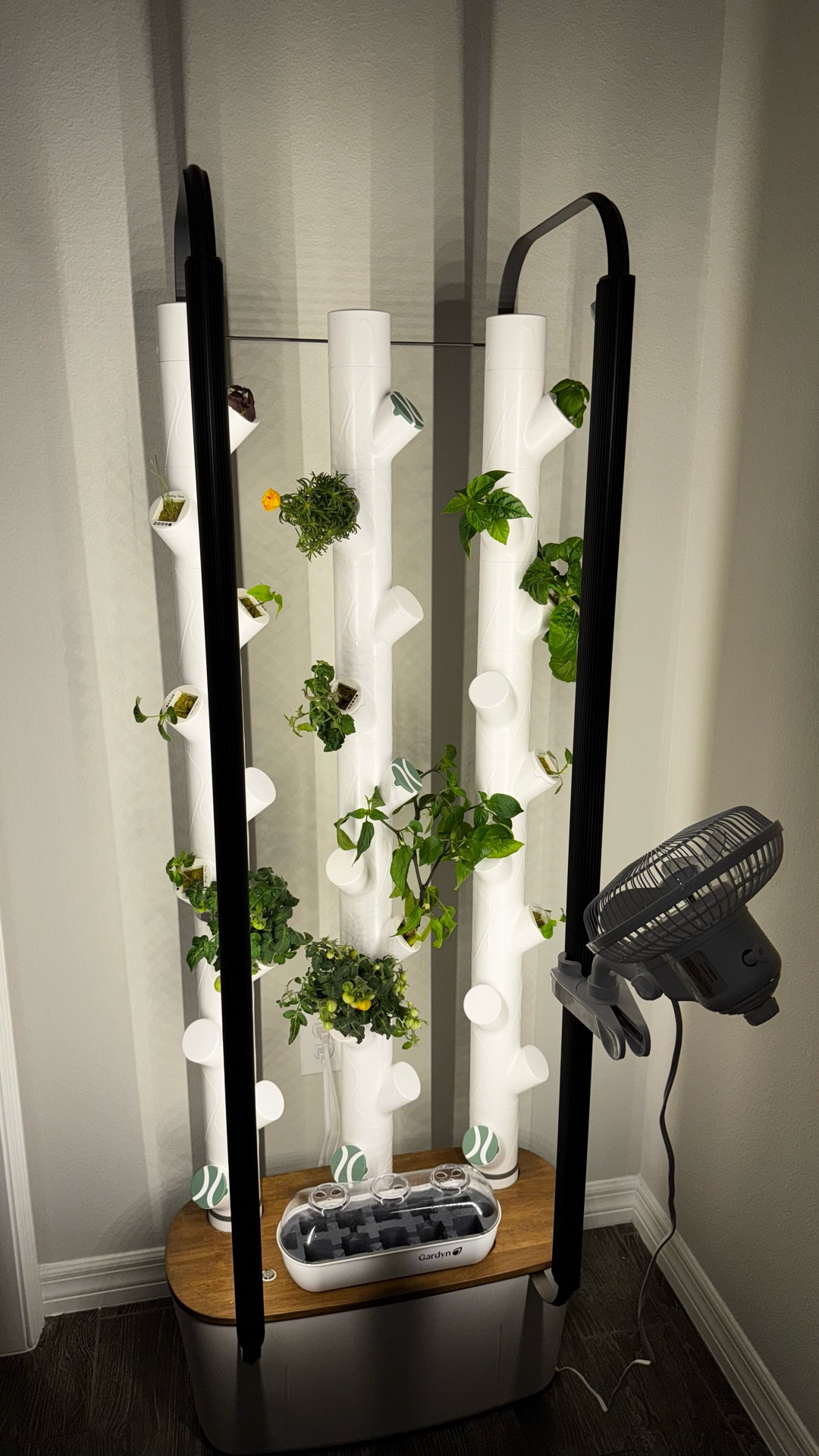 How we garden inside our house 🏡 🪴🌱
We love our hydroponic gardyn and here are the tools we use to keep it clean. 

#LTKFamily #LTKHome #LTKSaleAlert