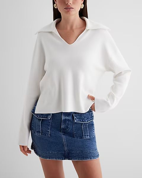 Relaxed V-neck Polo Sweater | Express