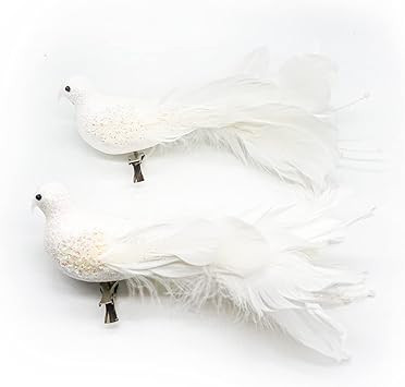 Yolococa White Birds Chirstmas Decoration,10x2x3 inches,2pcs | Amazon (US)