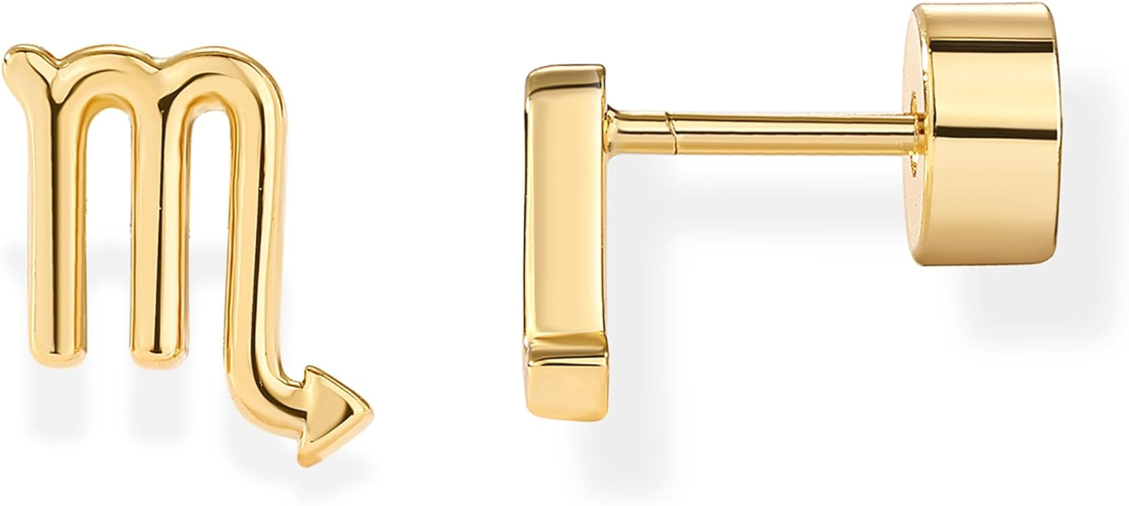 PAVOI 14K Gold Plated 925 Sterling Silver Posts Zodiac Sign Flat Back Earring Studs | Birthday Gi... | Amazon (US)