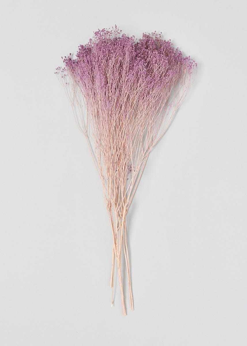 Lilac Preserved Broom Bloom Flower Bundle - 19 | Afloral