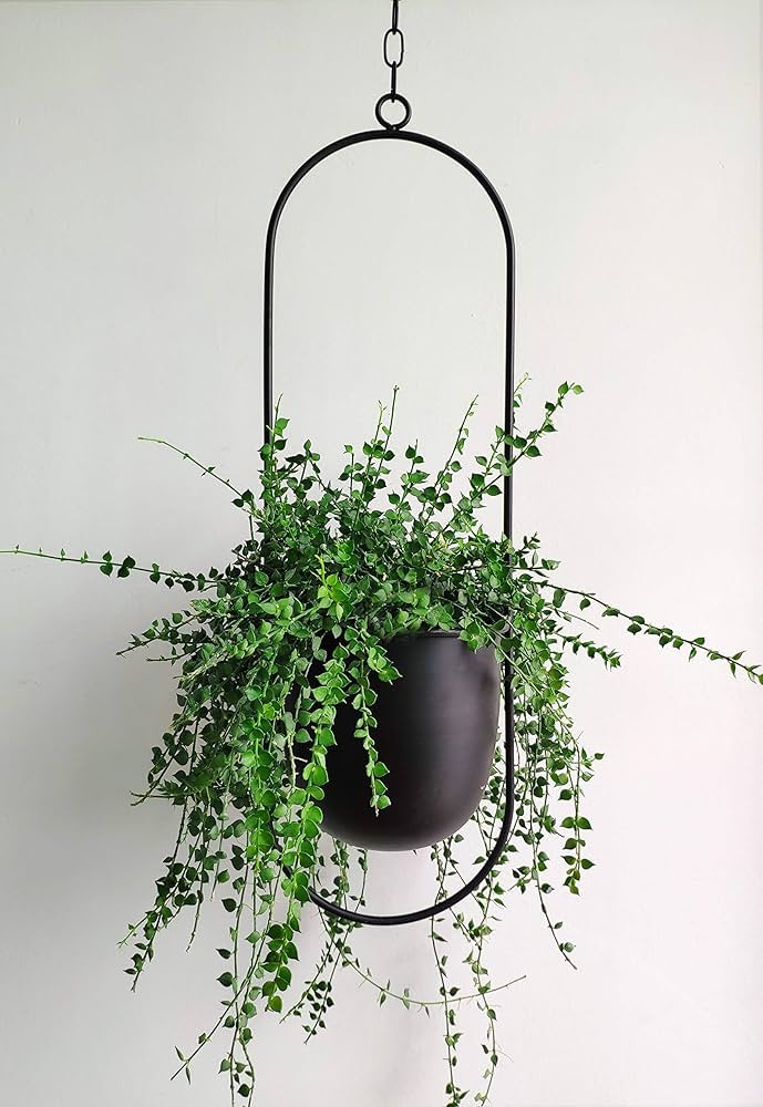 RISEON Boho Black Metal Plant Hanger,Metal Wall and Ceiling Hanging Planter, Modern Planter, Mid ... | Amazon (CA)