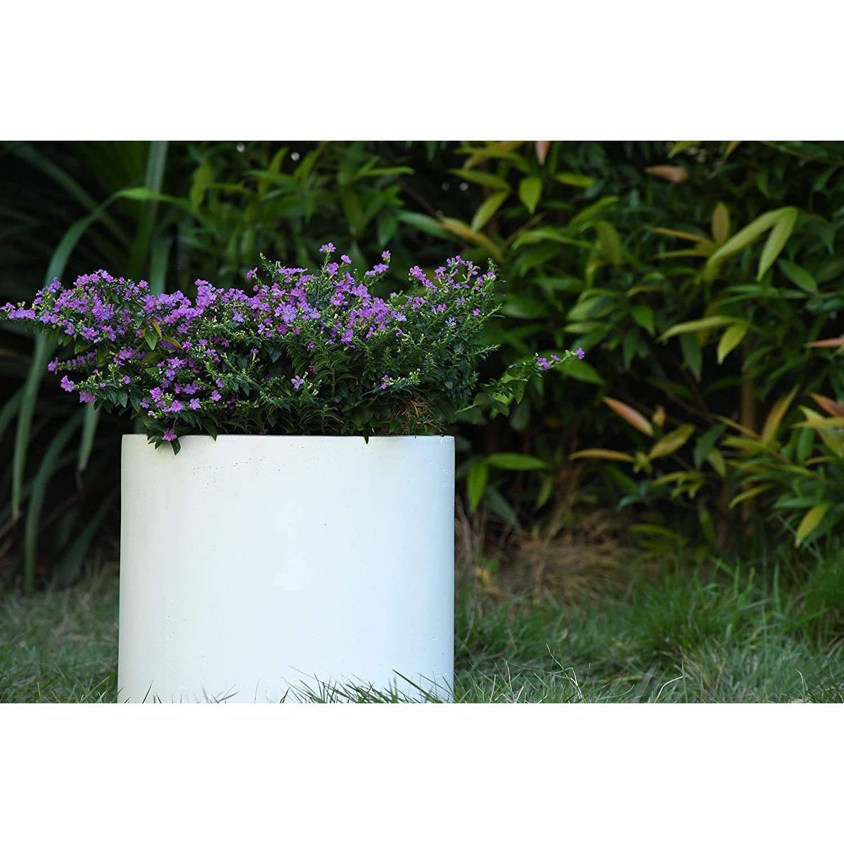 Rosemead Home & Garden, Inc. 16" Wide Kante Lightweight Modern Concrete Outdoor Planter Pot Pure ... | Target