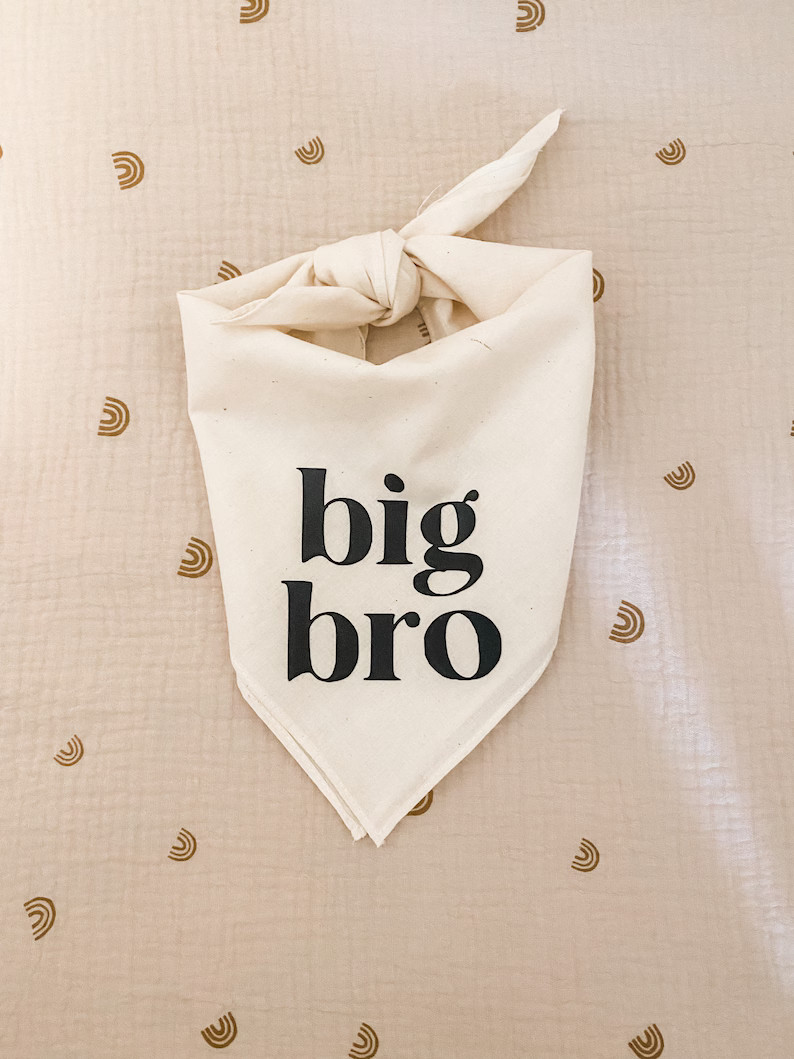 Big Sis or Big Bro Dog Bandana for Baby Announcement, Birth Announcement, Maternity Photoshoot Na... | Etsy (US)