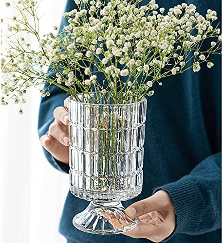 7 Inch Modern Glass Vase with Embossed Ribbed Base - Clear Hydroponic Design for Home Decor, Wedd... | Amazon (US)