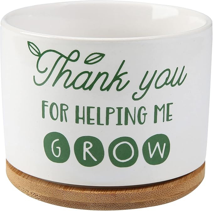 DOMG Teachers Appreciation Gift, Ceramic Succulent Plant Pot Small Flower Planter for Indoor Outd... | Amazon (US)