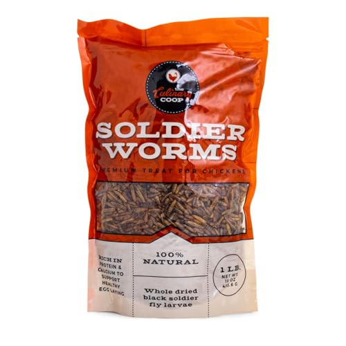 Fluker's Culinary Coop Premium Chicken Treats, Dried Soldier Worms, Packed with Protein and Calcium, 100% Natural Rich Grubs for Chicken, Backyard Birds, and Reptiles, 16 oz | Amazon (US)