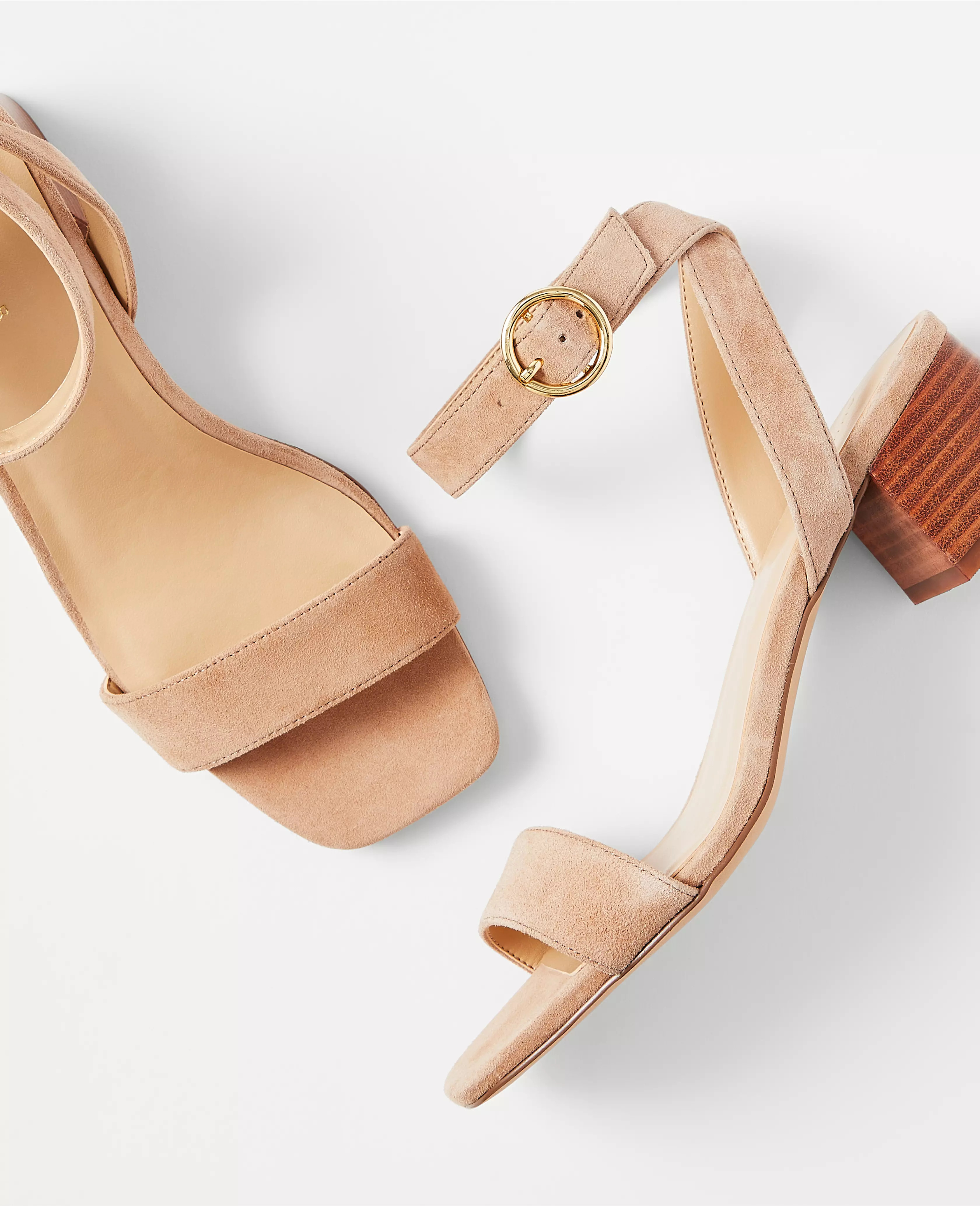 Ann Taylor | Ann Taylor (US)