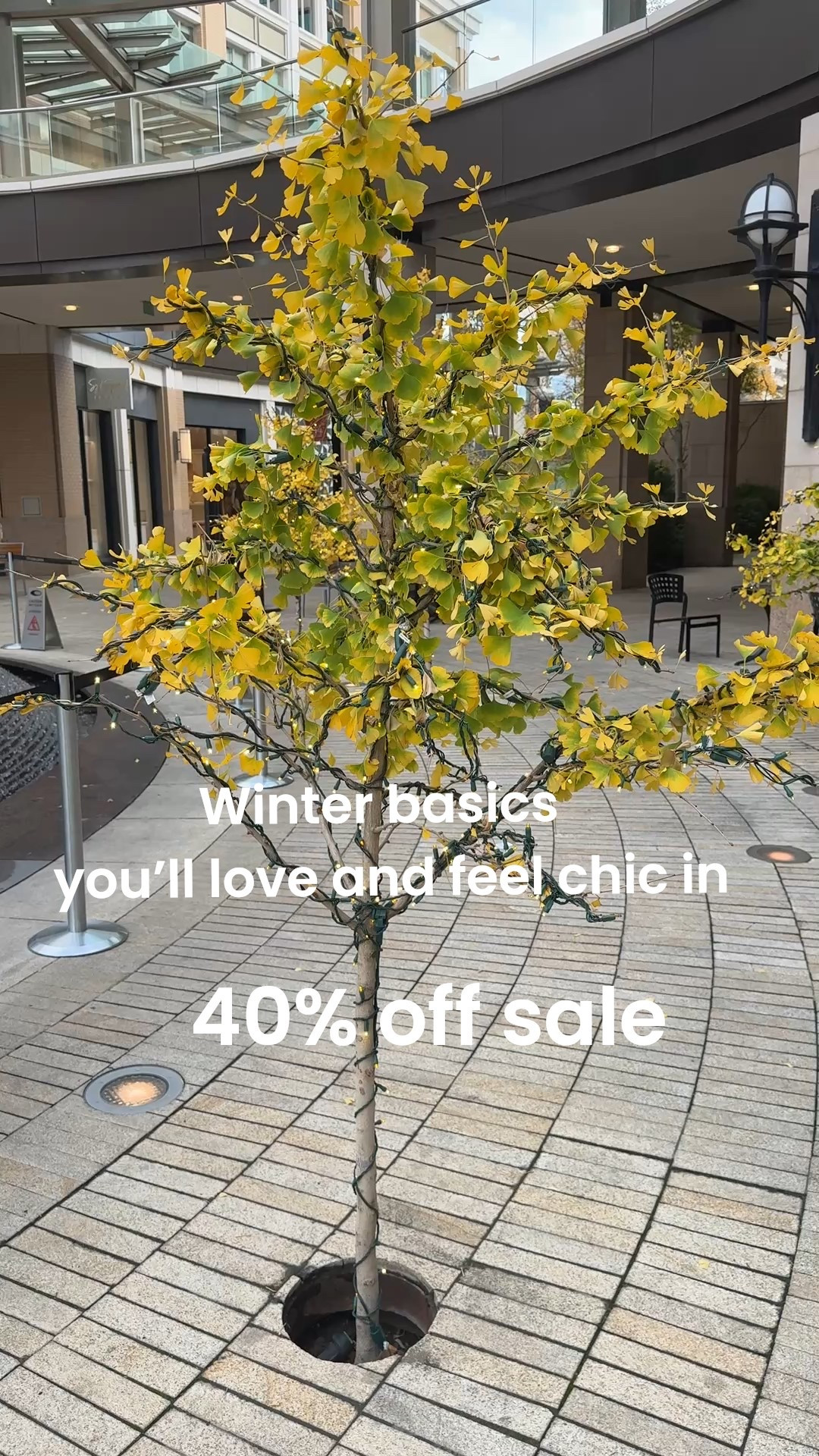 🚨 40% off sale 

Winter basics from Chicos you’ll 
Love and feel chic in!

No iron button up
Tts in a small 

 Girlfriend grey washed straight leg jeans tts in 0

Cashmere mid length cardigan duster, so soft and fab

Silver cap tied bottoms by Cecelia NYC

Feather clutch with large Aget stone closer

Statement earrings  


#LTKOver40 #LTKSaleAlert #LTKootd