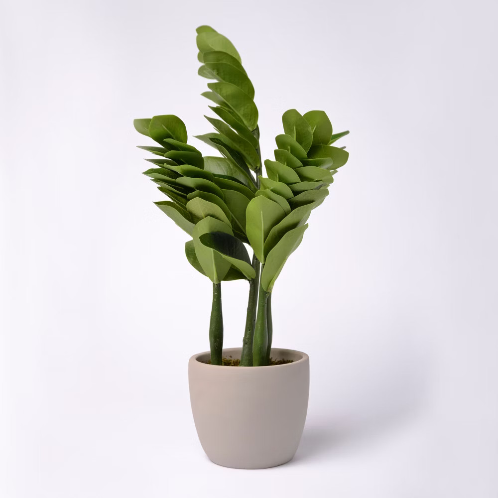18"" Potted Greenery - Lloyd & Hannah | Target