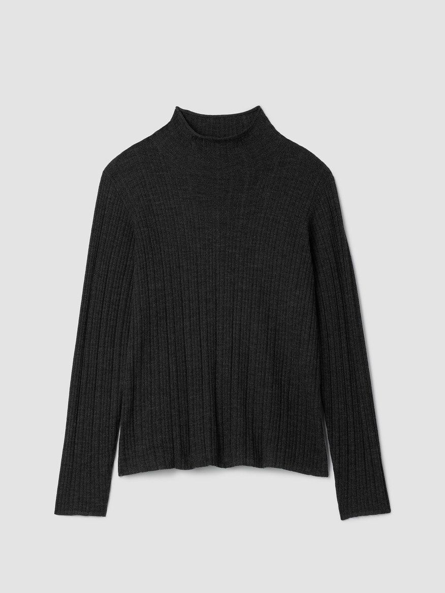 Superfine Merino Turtleneck Top in Regenerative Wool | Eileen Fisher