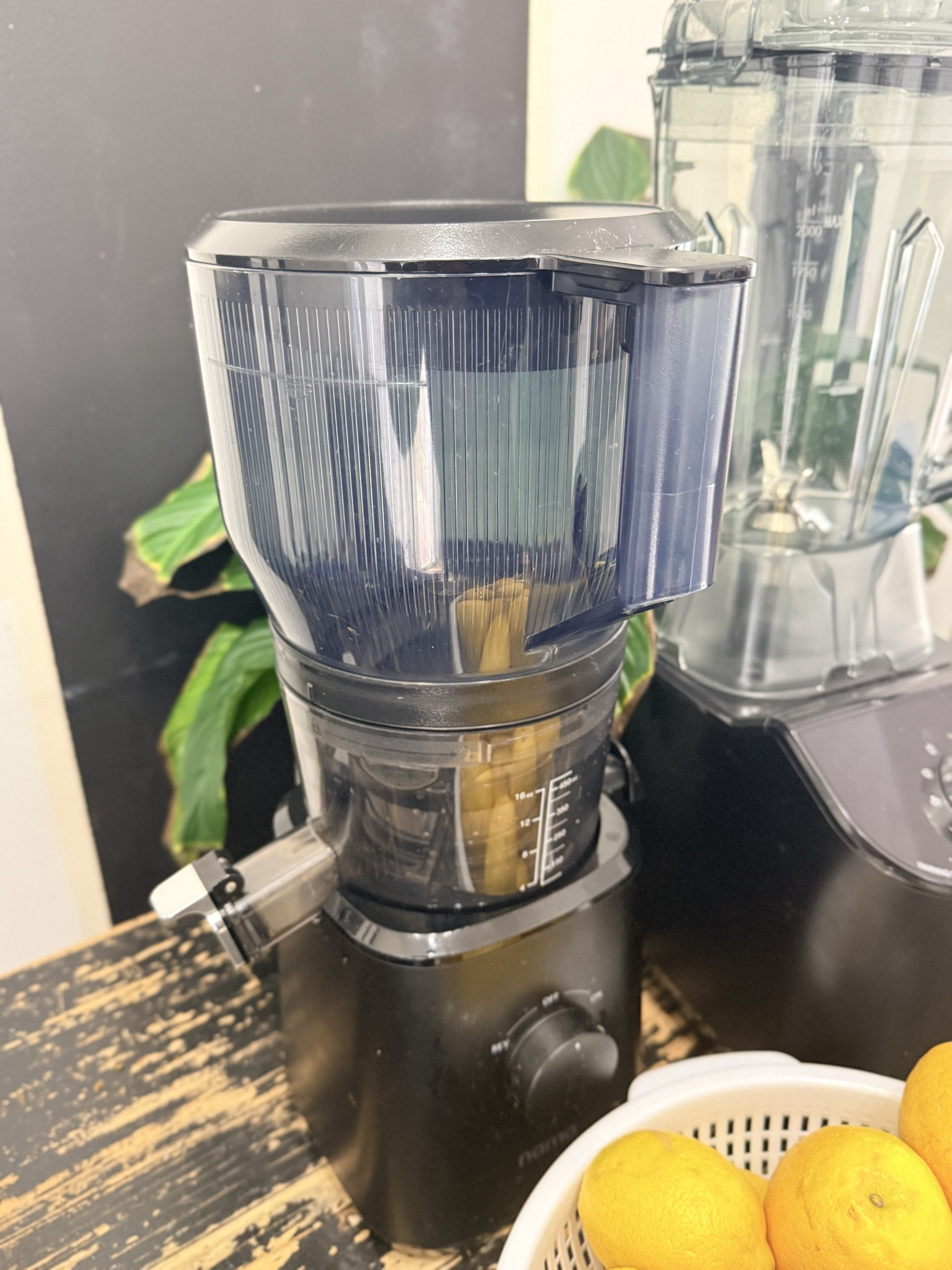 Get mom a juicer for Mother’s Day and give her a gift she will actually use every single day. Fresh juices, better habits, and a simple way to take care of her health. It is one of those gifts that keeps on giving.

Shop the juicer I use daily on my LTK.

#ShoppingWithPriiincesss #MothersDayGift #Juicer #HealthyGift #WellnessLifestyle #JuicingJourney #ColdPressedJuice #MomLife #GiftIdeasForMom #HealthAndWellness #DailyHabits #SelfCareGift #MomFavorites #AtlantaMom #Atlantamom #Atlantabloggers #Atlantablogger #AtlantaCreator #Atlantacontentcreators #Atlantacontentcreator

#LTKHome #LTKmomlife #LTKfoodie