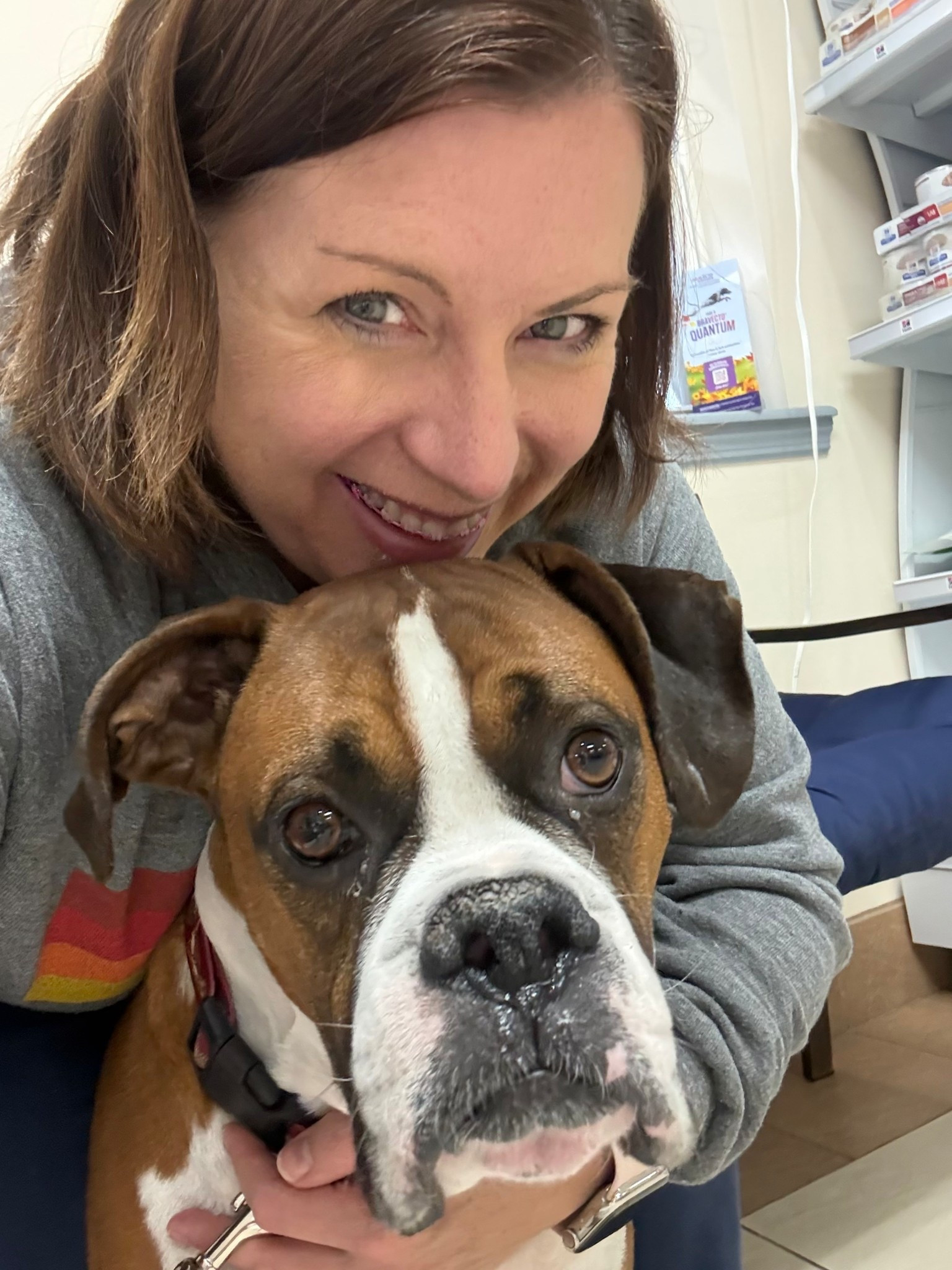 My boxer, Bruno, gets so nervous when I take him to the vet. Poor baby. 

#LTKmomlife #LTKOver40 #LTKdayinmylife