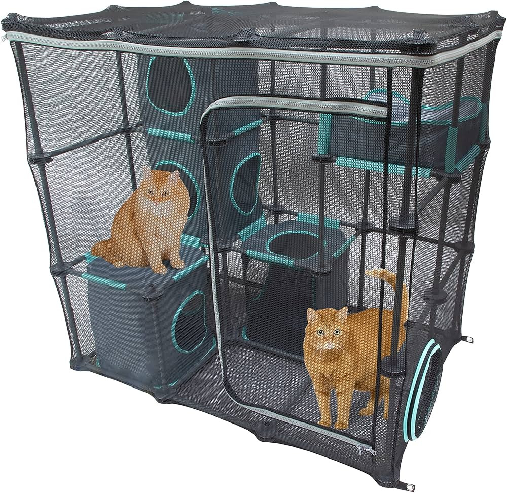 Kitty City Outdoor Catio Furniture and Play Kits for Cats, Outdoor Mega Kit | Amazon (US)