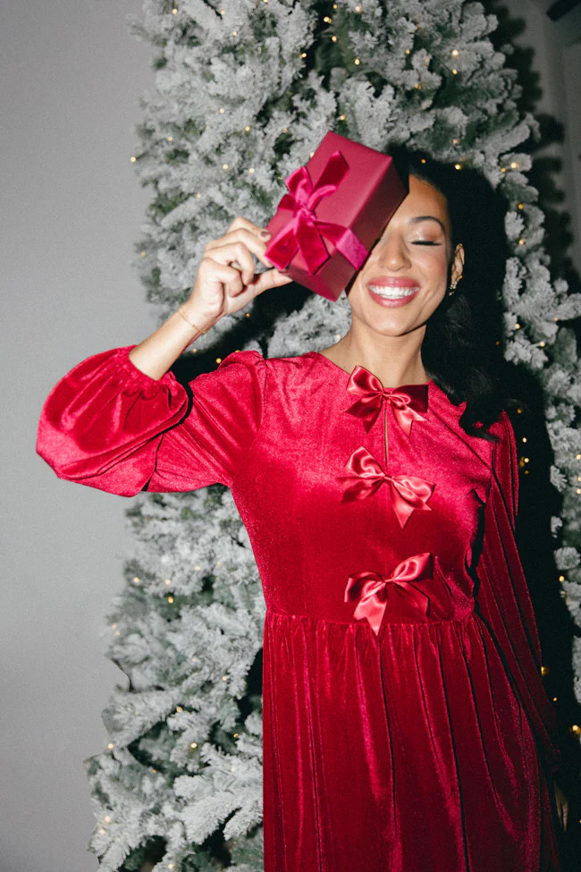 It's The Little Things Red Bow Detail Velvet Dress | Pink Lily