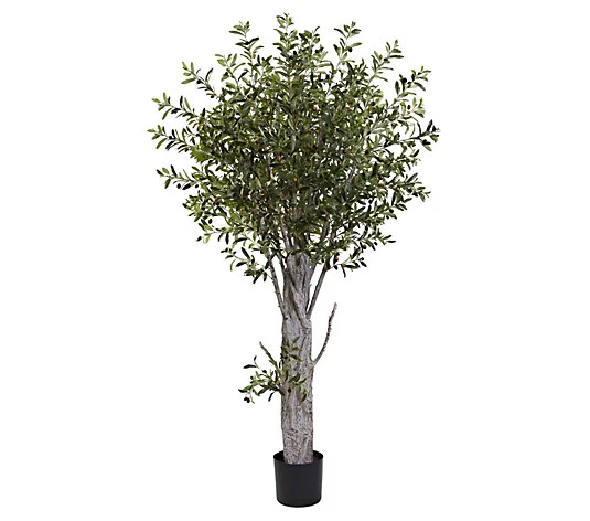 6' Olive Tree by Nearly Natural - QVC.com | QVC