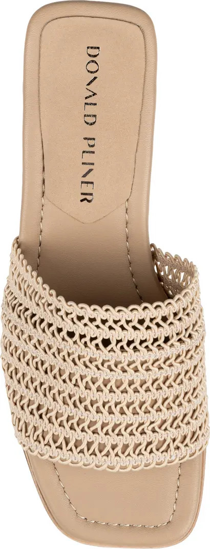 Donald Pliner Clodie Slide Sandal (Women) | Nordstrom | Nordstrom