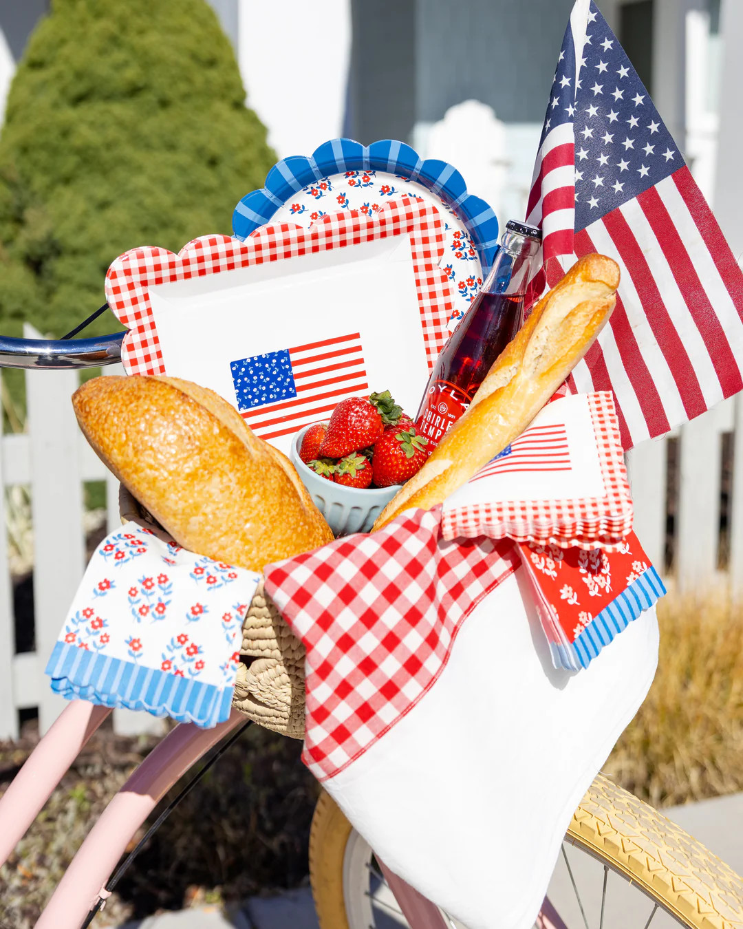 Gingham Flag Paper Plate - 10" | My Mind's Eye