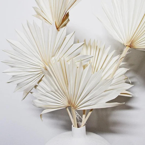 Dried Fan Palm Leaves Bleached  white palms / bleached palms | Etsy | Etsy (US)