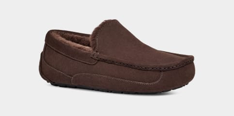 Ascot Slipper | UGG (US)