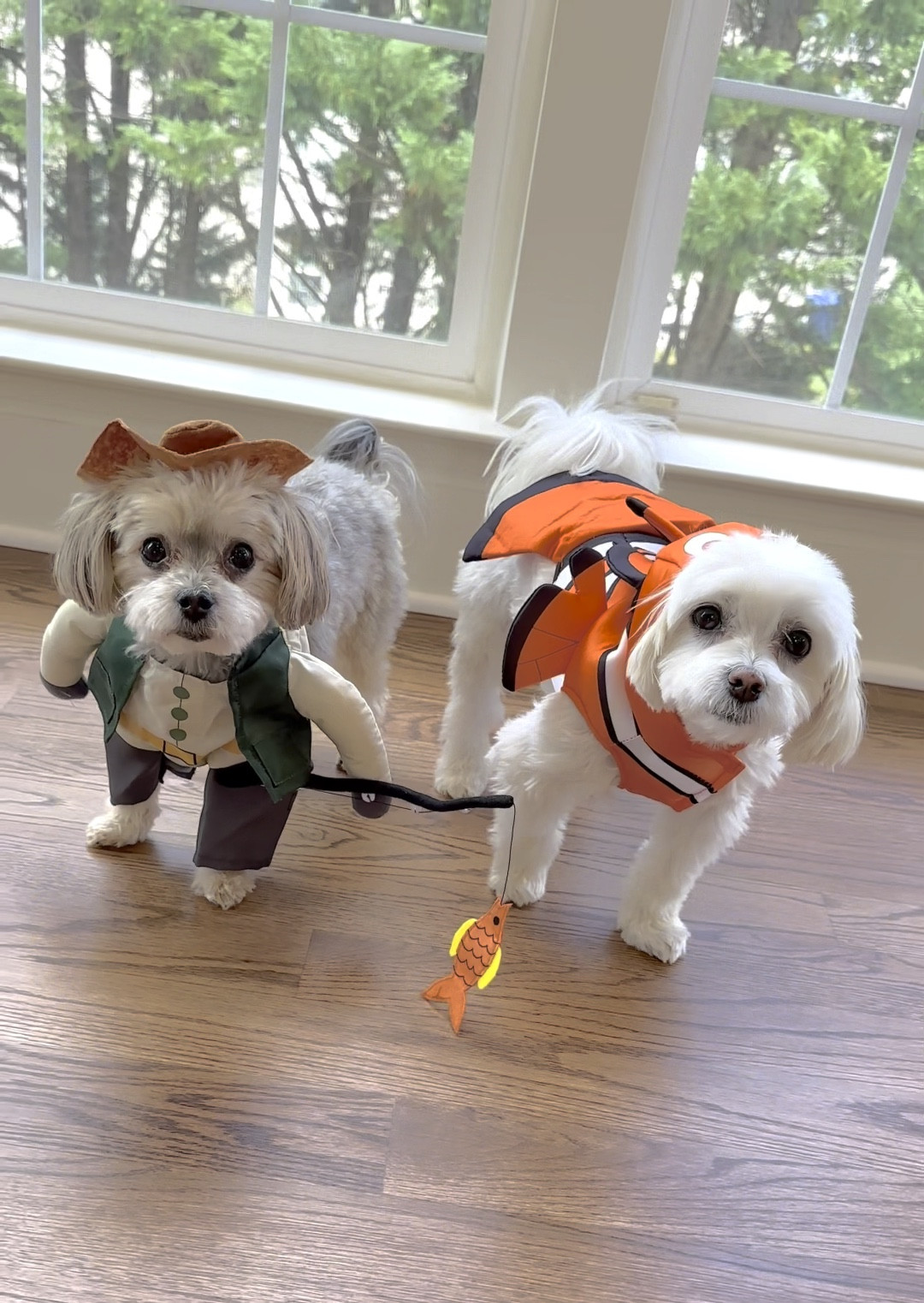 𝑻𝒉𝒆 𝑮𝒓𝒆𝒂𝒕𝒆𝒔𝒕 𝑪𝒂𝒕𝒄𝒉 🎣 

#LTKHalloween #LTKHoliday #LTKSeasonal