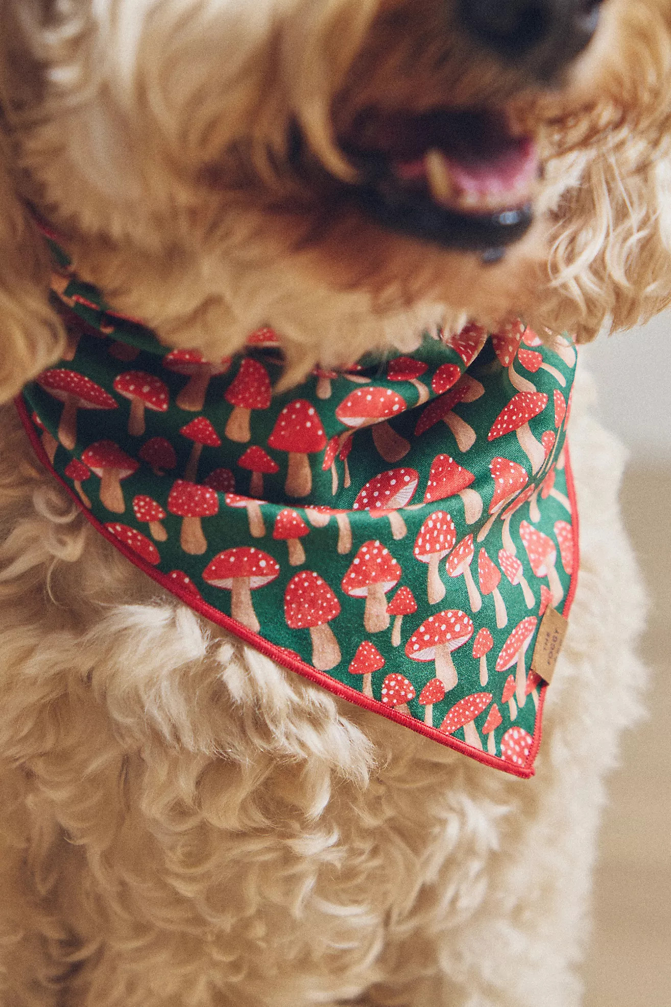 The Foggy Dog Pet Bandana | Anthropologie (US)