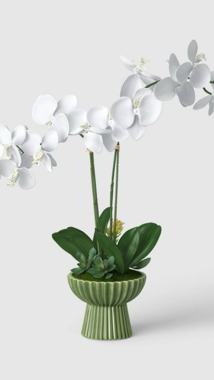 Beautiful orchid plant in a ribbed moss green planter, ready for your table decor! Beautiful for an Easter table or spring decor. 

#LTKHome #LTKSpringSale #LTKSeasonal