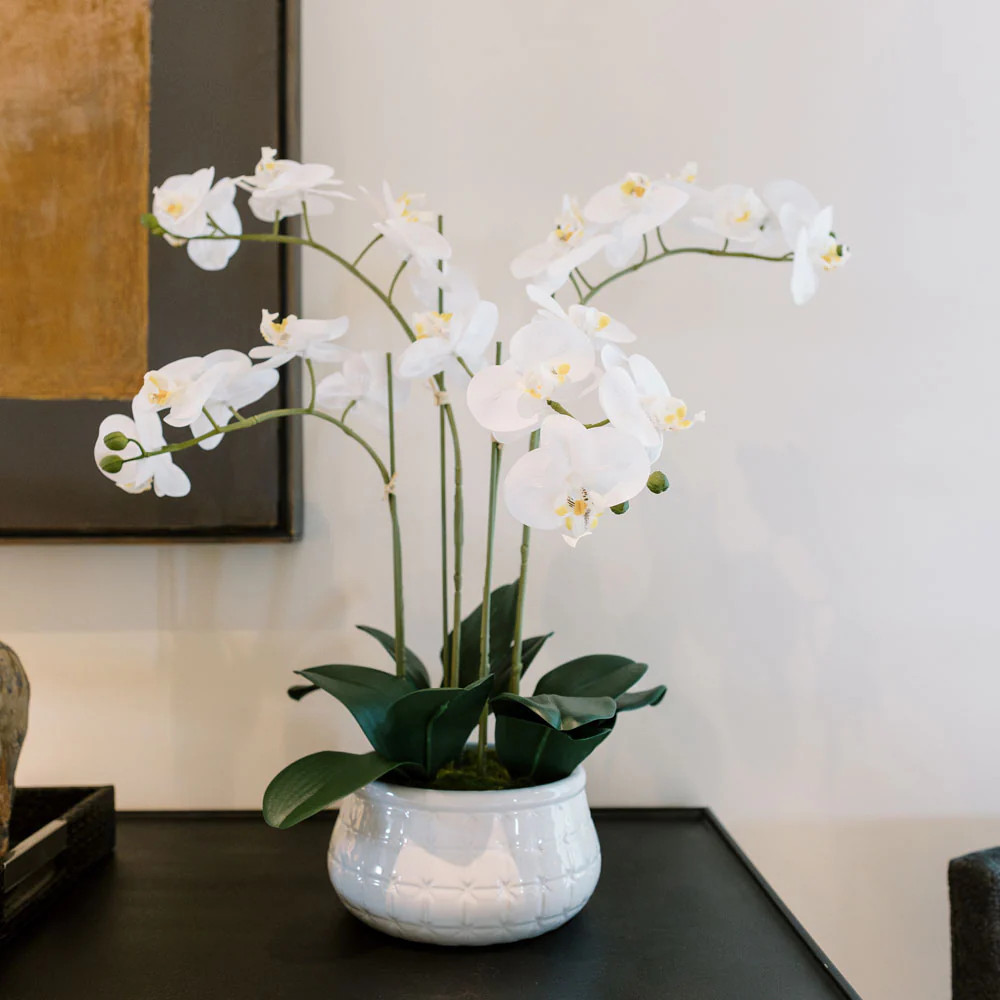 Artificial 4-Stem Phalaenopsis White Orchid | CG Hunter