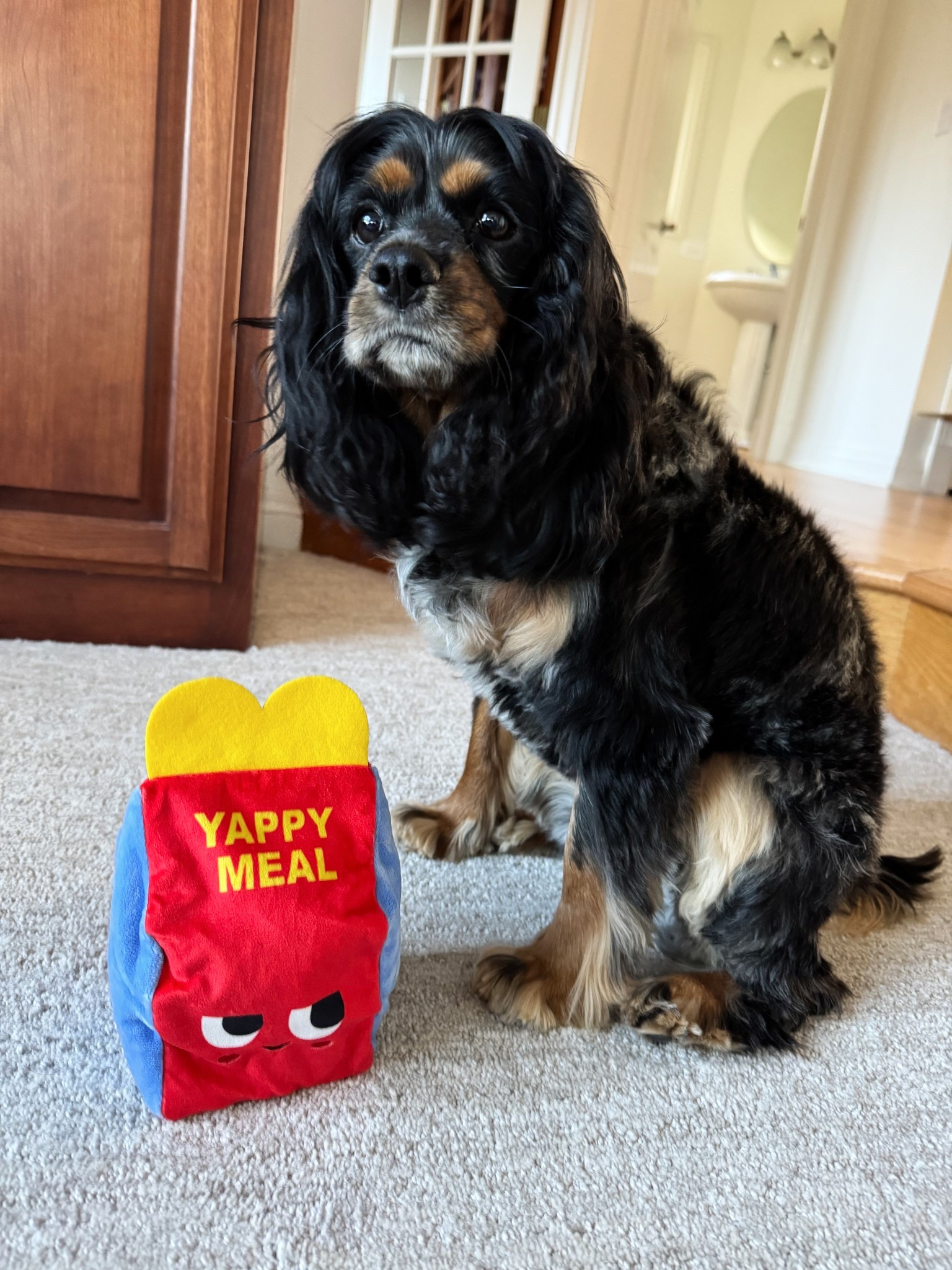 Guarding his burger & fries in his new Yappy Meal 🍔🍟

Such a fun toy for that fur baby in your life!

#LTKGiftGuide #LTKPets #LTKfoodie