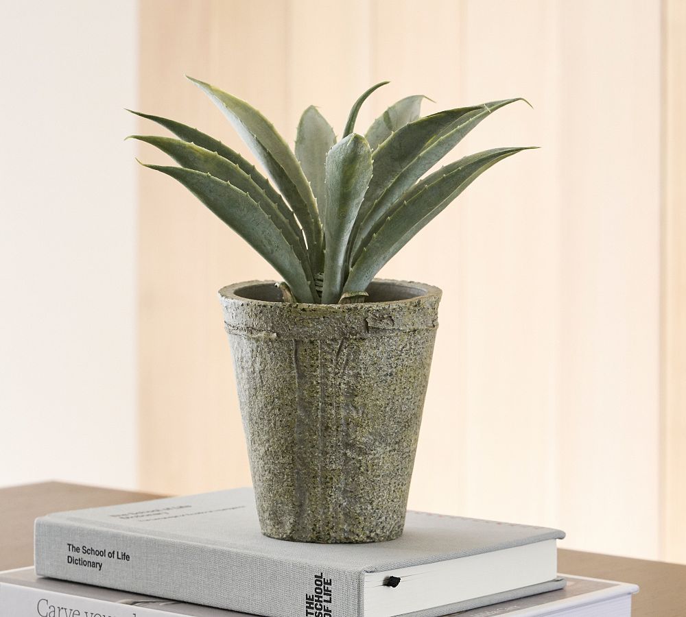 Faux Potted Aloe Plant | Pottery Barn (US)