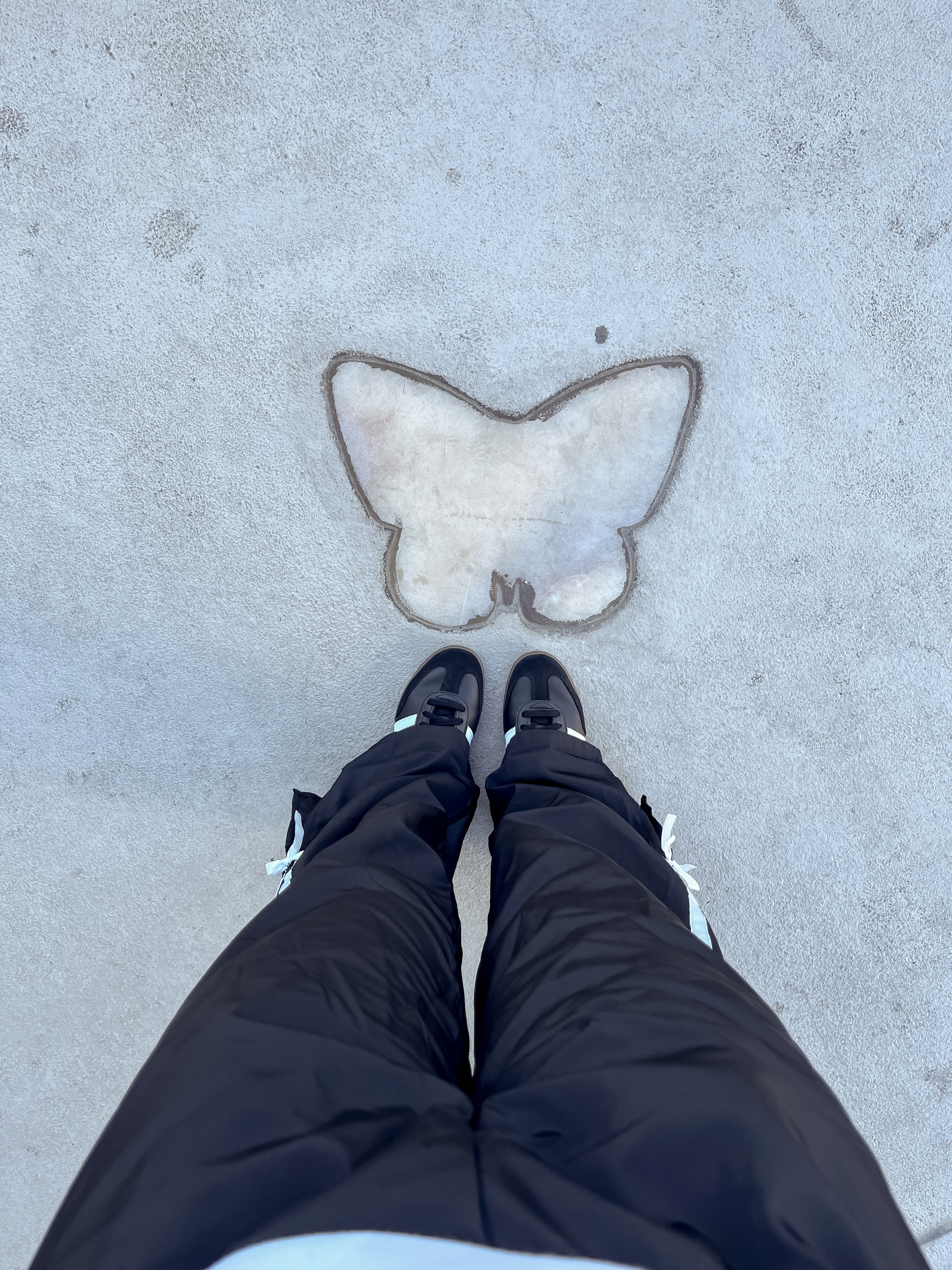 Track pants
Sambas


#LTKStyleTip #LTKShoeCrush #LTKFindsUnder50