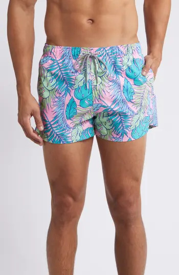 Boardies Palmtopia Shortie Swim Trunks | Nordstrom | Nordstrom