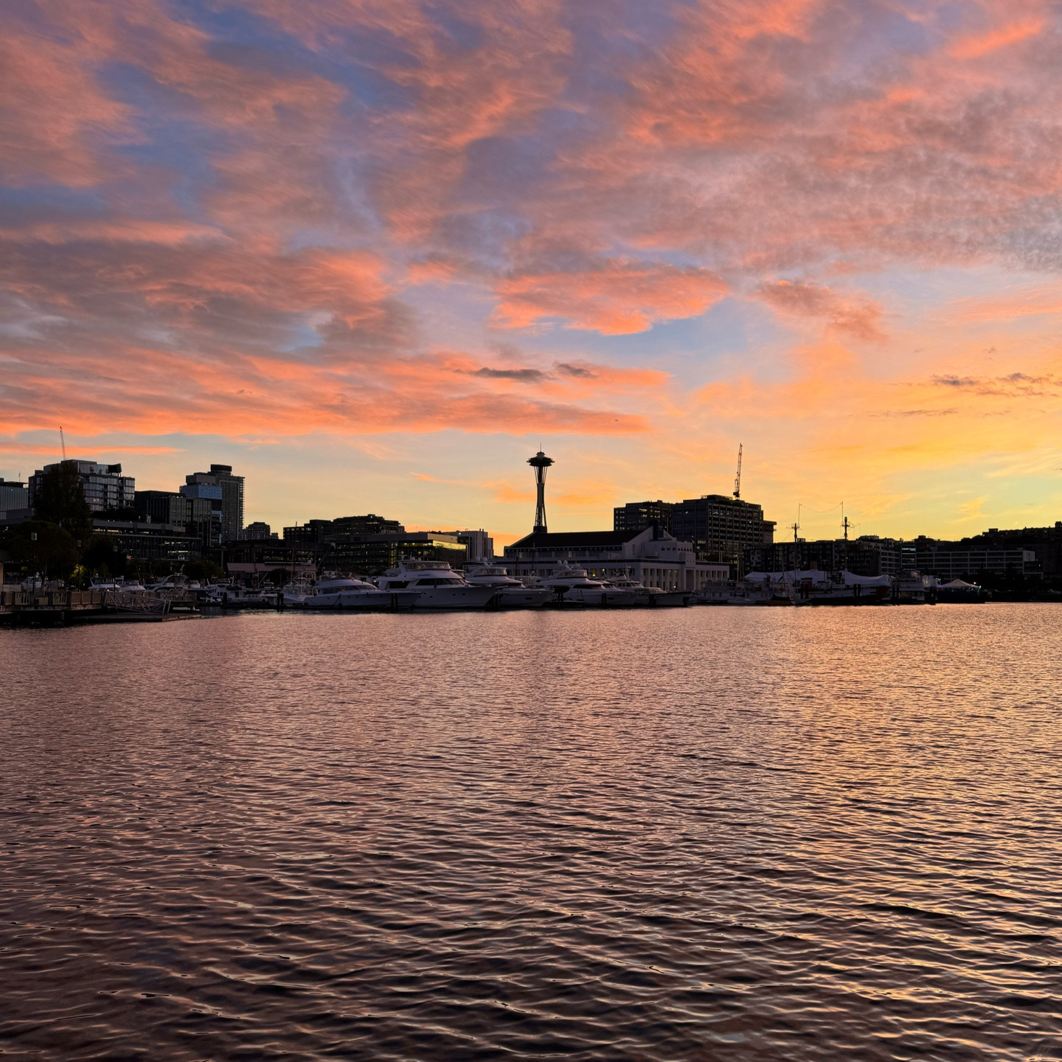 Great for sunset runs