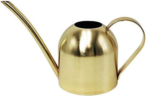 Cesun Metal Watering Can Solid Stainless Steel Pot with Long Spout Small Size for Bonsai Indoor P... | Amazon (US)