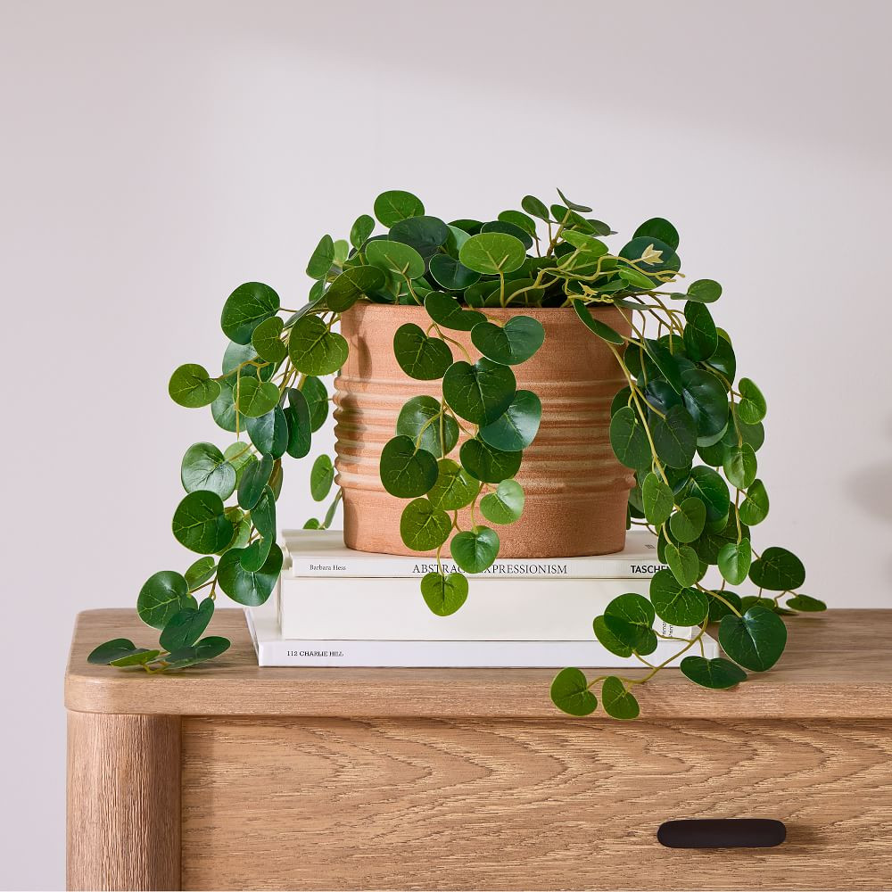 Faux Potted Trailing Leaf Plant | West Elm (US)