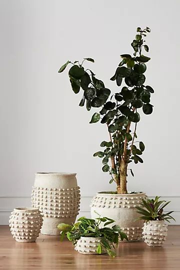 Minka Textured Pot | Anthropologie (US)