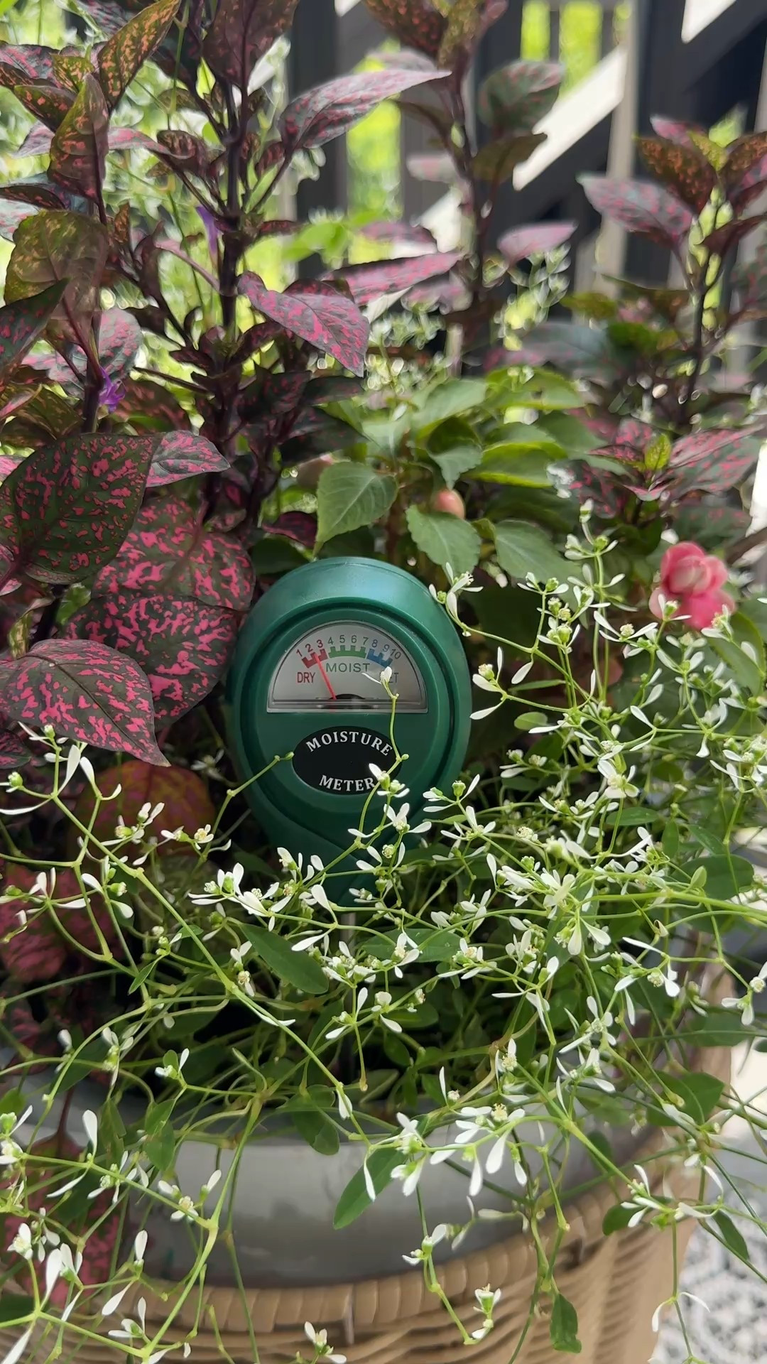 #LTKSeasonal #LTKHome #LTKFindsUnder50