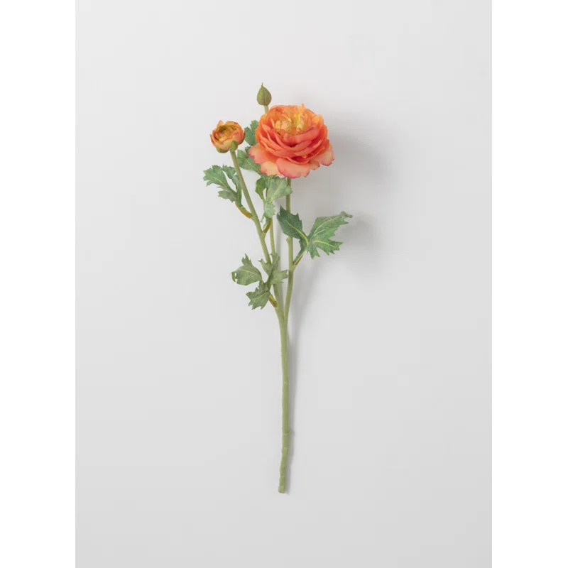 Ranunculus Stem | Wayfair North America