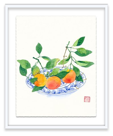 Gabby Malpas, Clementines | One Kings Lane