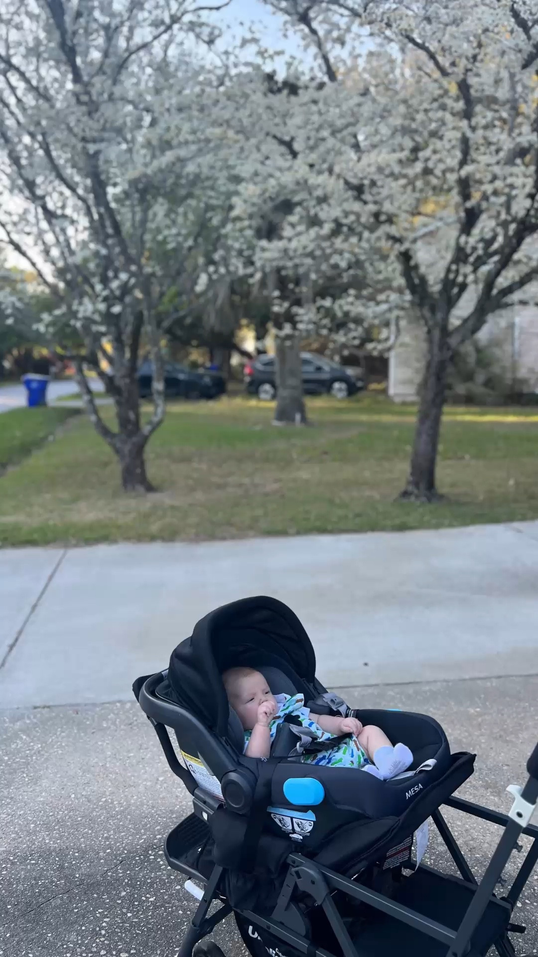 Evening walks with my boys >>

This stroller is one of my favorite mom finds. It’s lightweight so I can set it up myself, and the bench seat is perfect for when Aiden’s little legs get tired mid-walk. It makes getting outside so much easier.

Everything linked in my LTK.

#LTKbaby #LTKfamily #LTKmomlife #momfinds #strollerwalks

#LTKmomlife #LTKstorytime #LTKdayinmylife