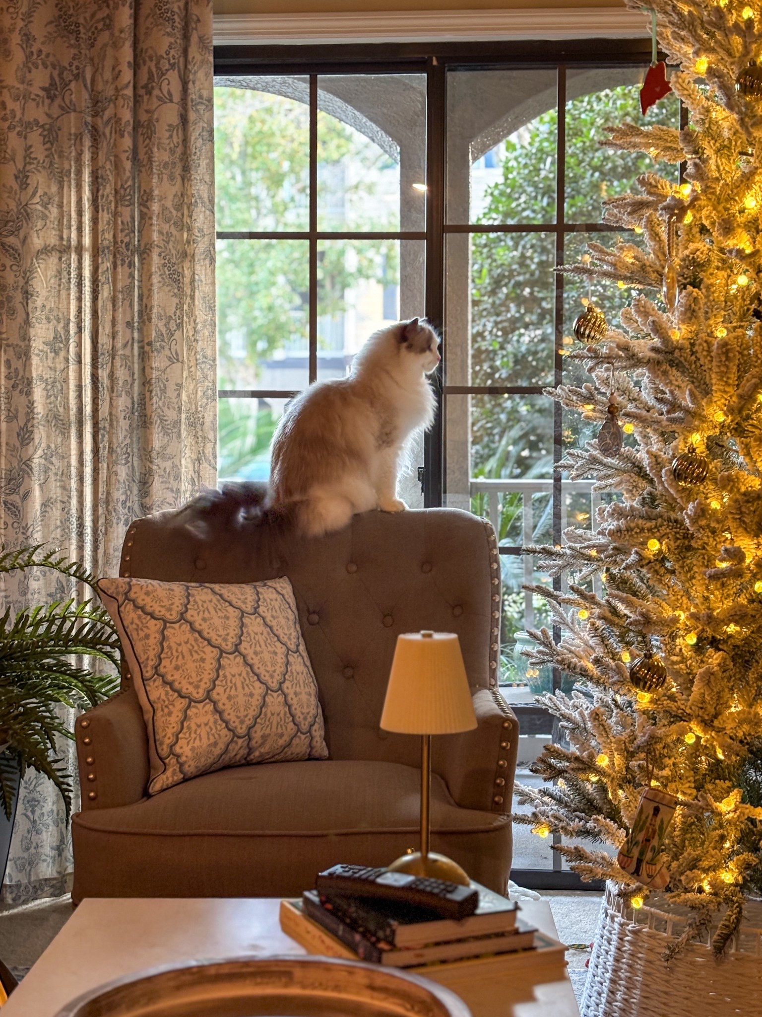 'Tis the season 🎄 cozy vibes only 

Coastal Grandmother x Ralph Lauren Christmas

#LTKHome #LTKHoliday #LTKSeasonal