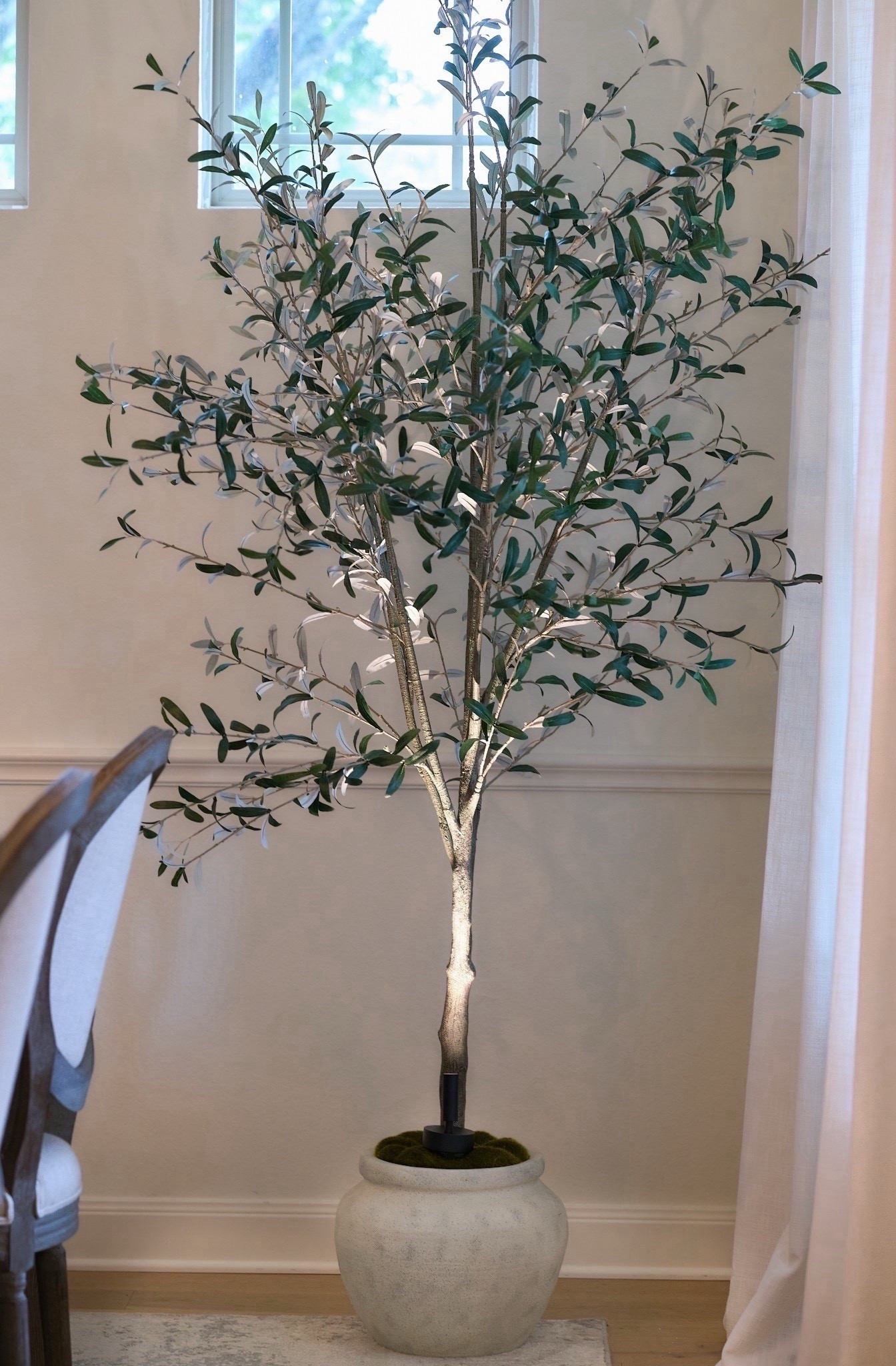 Still a favorite✨

Olive tree
Studio McGee
Target find

#LTKHome