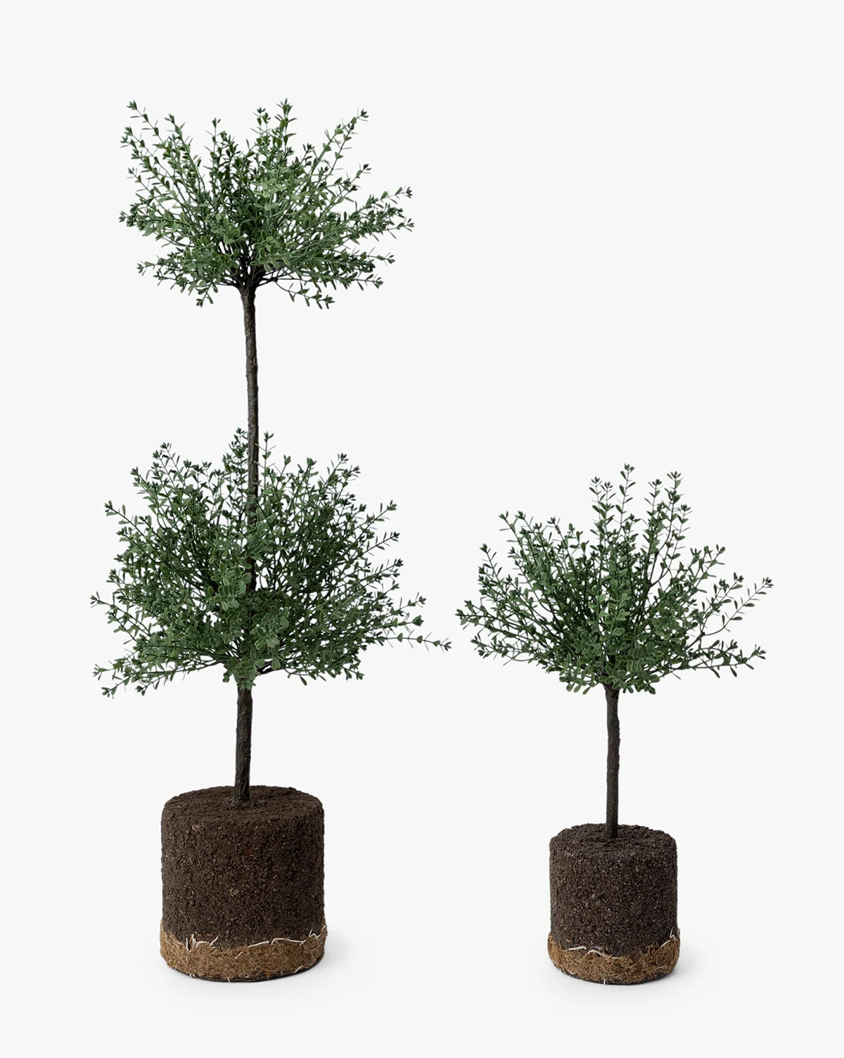 Faux Myrtle Topiary Drop-In | McGee & Co. (US)