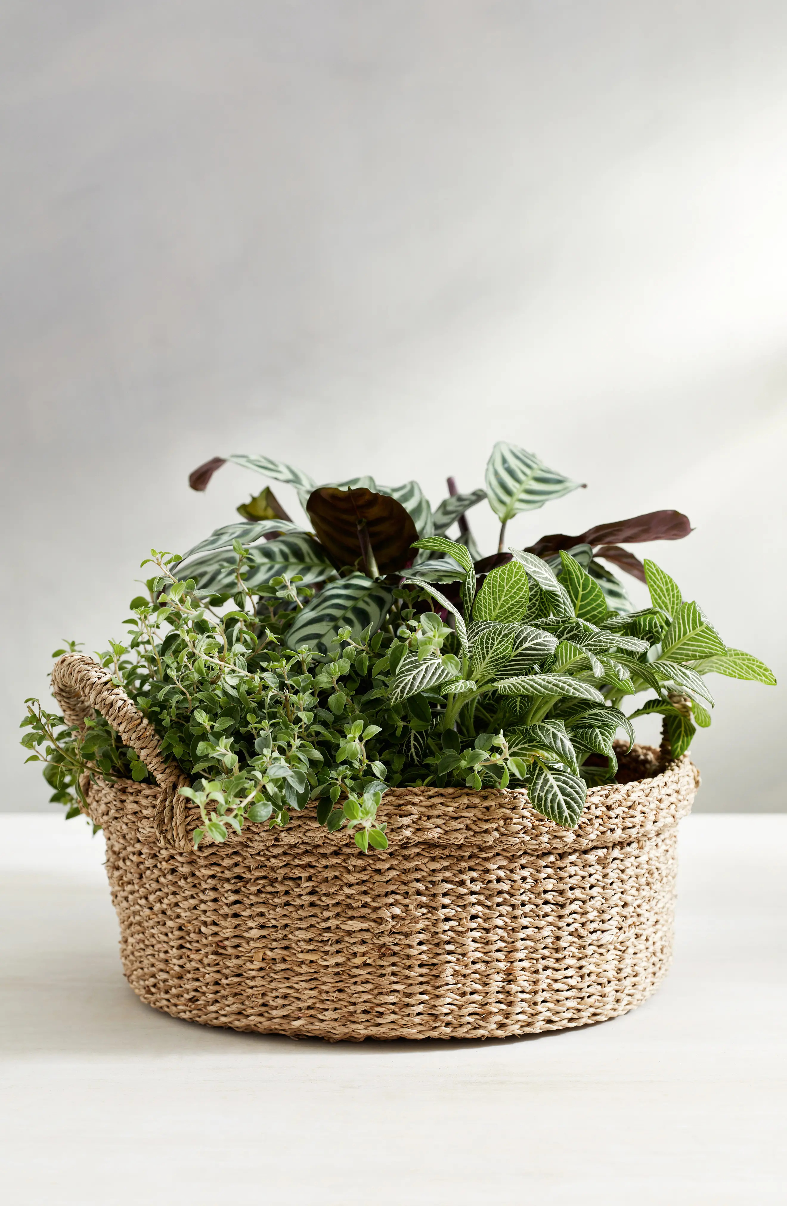THE WHITE COMPANY | Small Round Seagrass Basket | Nordstrom Rack | Nordstrom Rack