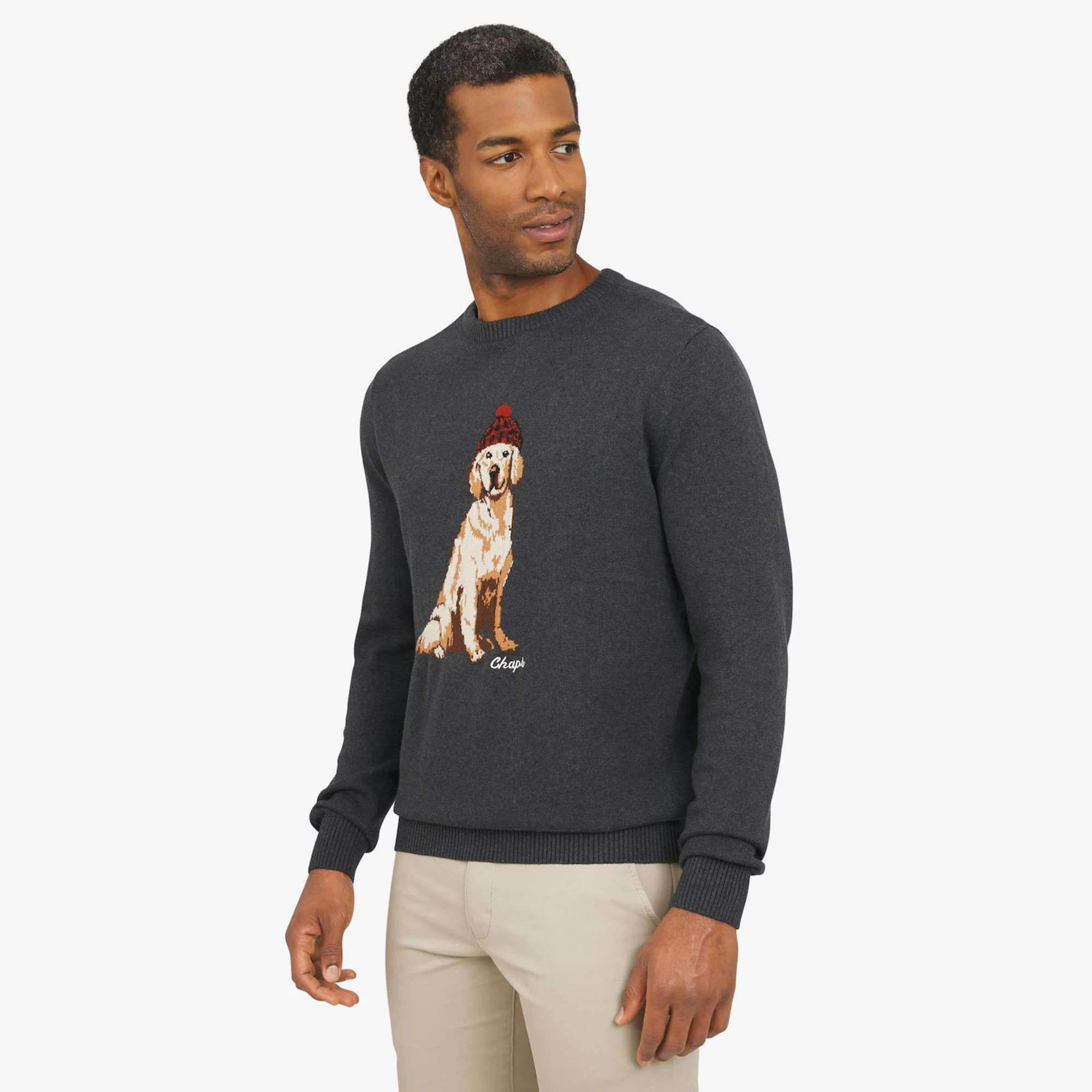 Men's Chaps Holiday Novelty Dog Sweater | Kohl's