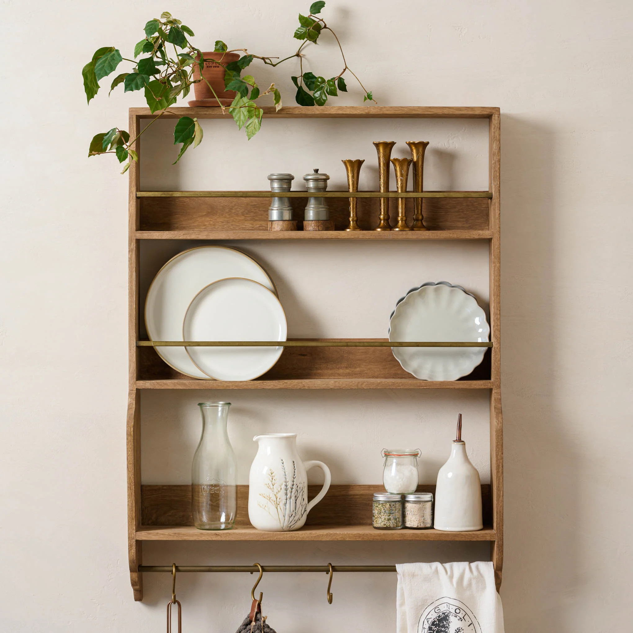 Hannon Wood and Brass Display Shelf | Magnolia