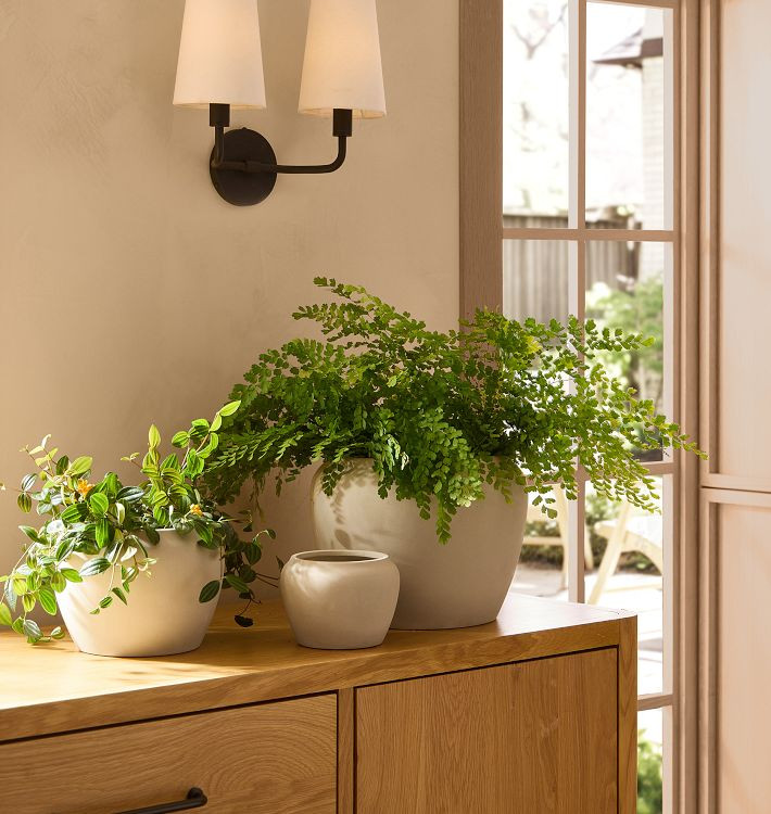 Maria Earthenware Planter | Rejuvenation