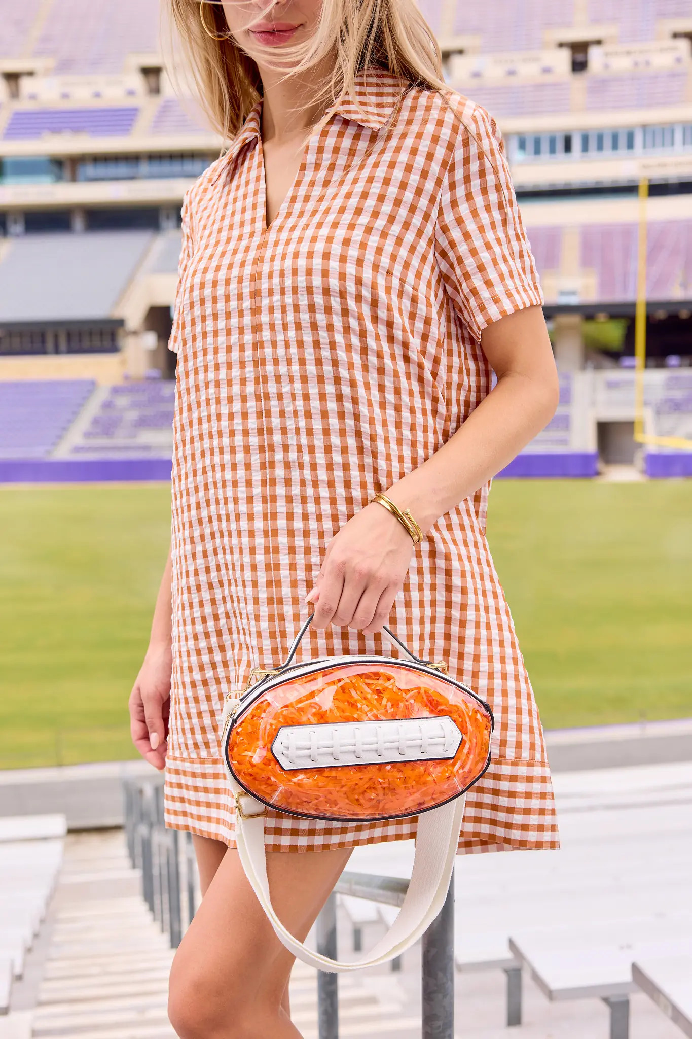 Tia Rust Gingham Collared Short Dress | Avara