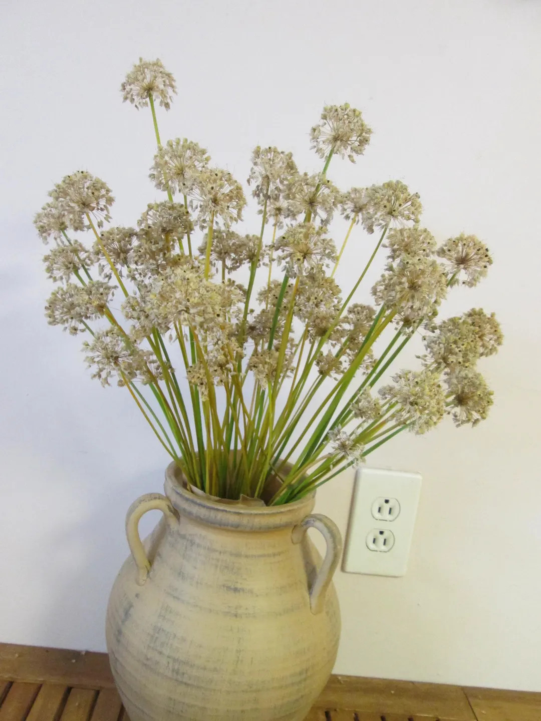 Dried Allium Stems Bundle: Rustic Decor - Etsy | Etsy (US)