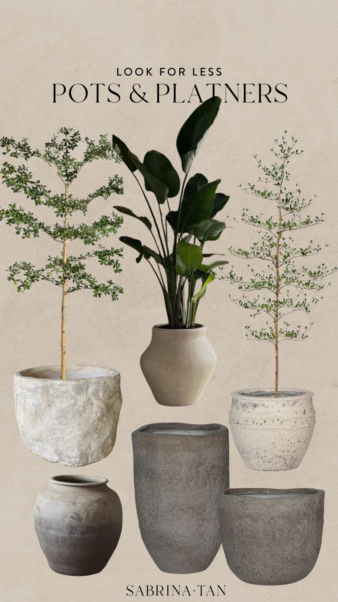 Faux olive trees and pots and planters 


#LTKSaleAlert #LTKHome
